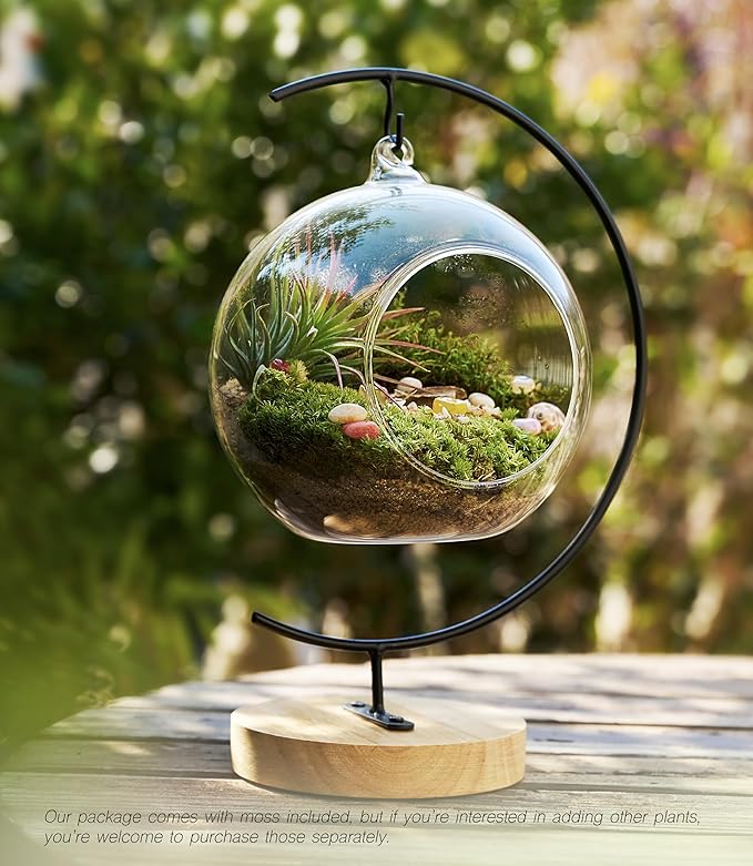 LUCKYRUNES DIY Terrarium Kit - Image 5