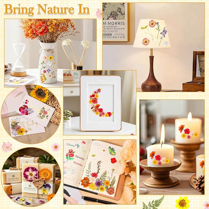 470 PCS Pressed Flowers for Crafts, Real Natural Dry Flowers - Image 6