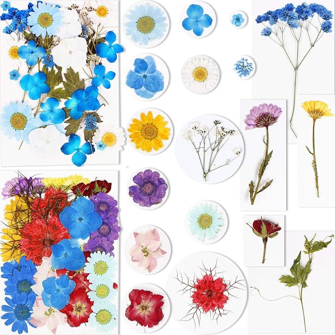 BIHRTC 100PCS Dried Pressed Leaf Flowers Natural Pressed Dry Leaves Sunflowers - Image 2