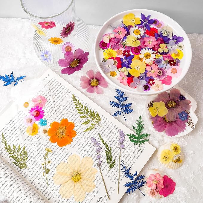 Dried Pressed Flowers Real Pressed Flowers Natural Dry Leaves Bulk Mixed - Image 3
