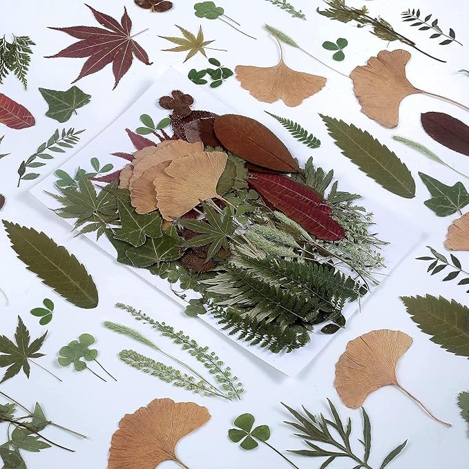 100 PCS Real Dried Pressed Greenery Leaves Natural Plant Herbarium by AHTONG