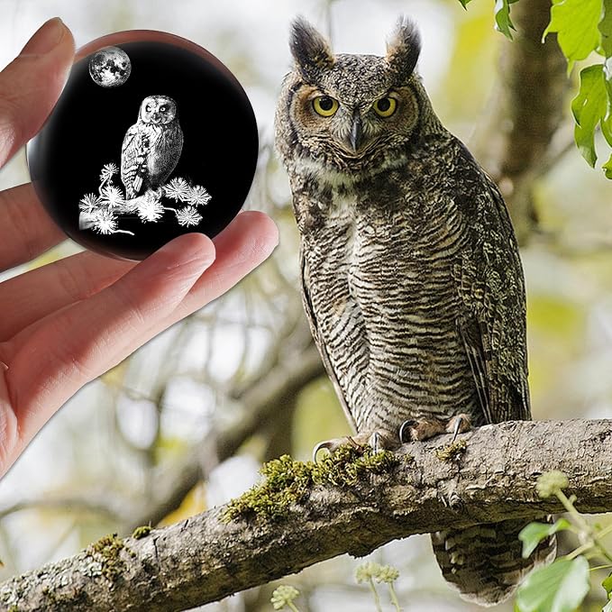3D Owl Crystal Ball with Stand Lase Engraved Glass Sphere Paperweight Owl Decor - Image 5
