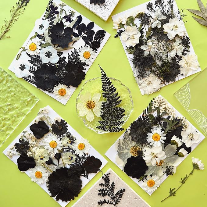 MIKIYA 90Pcs Black Pressed Dried Flowers - Image 3