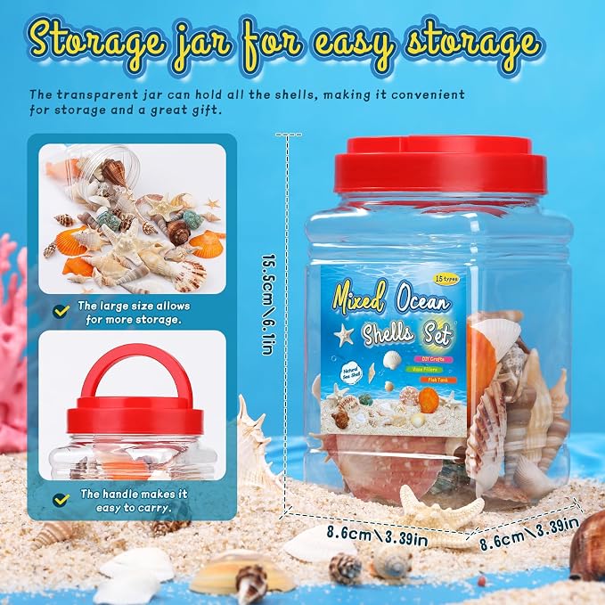 MORFEN Sea Shells, Mixed Ocean Seashells, 15 Kinds 1.2"-3.9" Various Sizes - Image 5