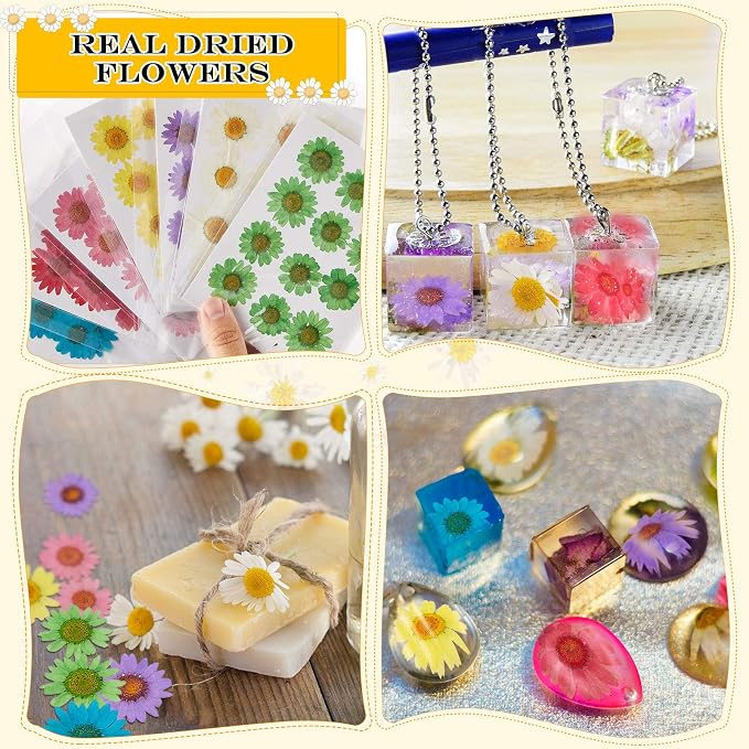 Nuanchu 84 Pcs Pressed Flowers Real Dried Daisies Colorful Pressed Daisy - Image 3