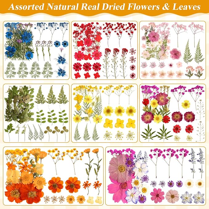 Dried Flowers for Crafts, Card Making, Nail Art, Scrapbooking - Image 3