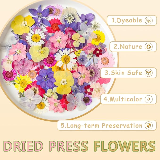 Dried Pressed Flowers Real Pressed Flowers Natural Dry Leaves Bulk Mixed - Image 5