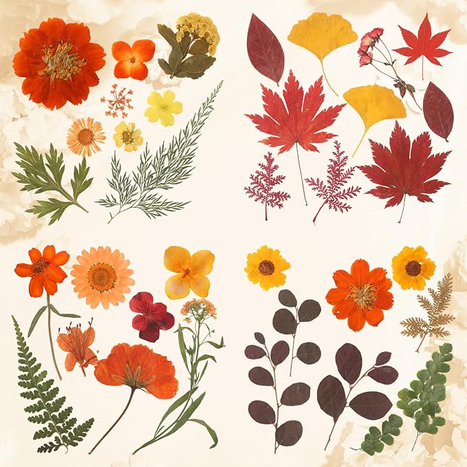 Augshy Fall Dried Pressed Flowers and Leaves - Image 5