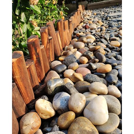 FANTIAN 10 lbs Pebbles for Indoor Plants, 2-3 inch Large River Rocks Decorative - Image 5