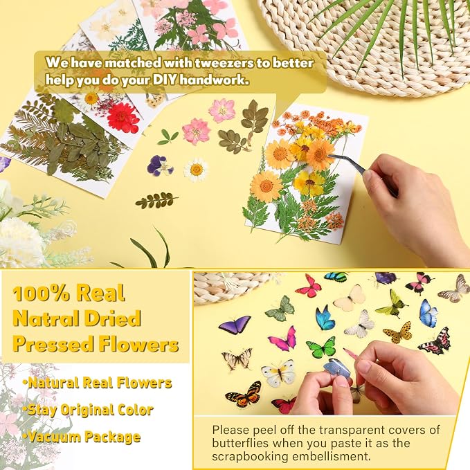 Fabbay 712 Pcs Dried Pressed for Resin - Image 6
