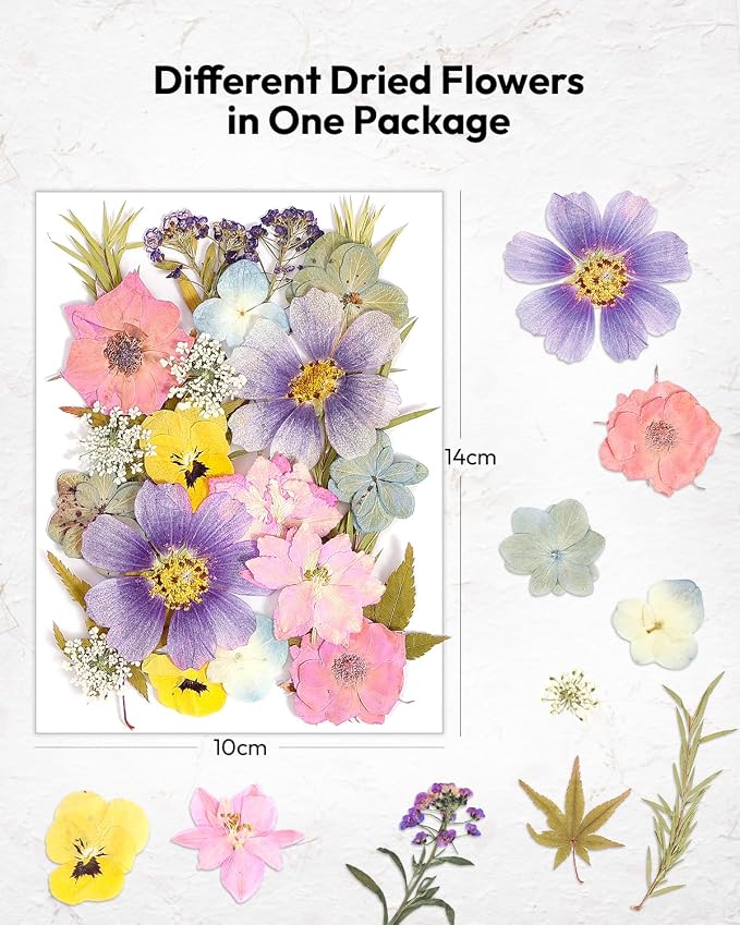 Dried Flowers, Resiners 174Pcs Pressed Flowers - Image 5