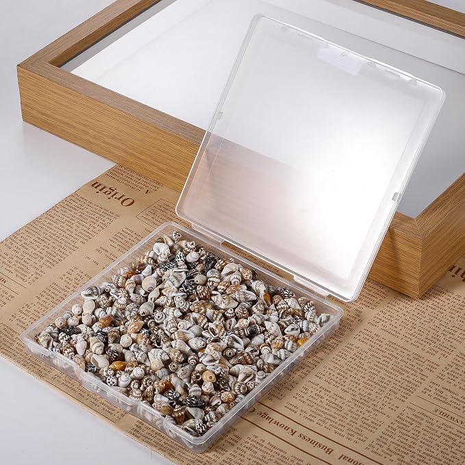500pcs Natural Tiny Small Seashells - Image 3