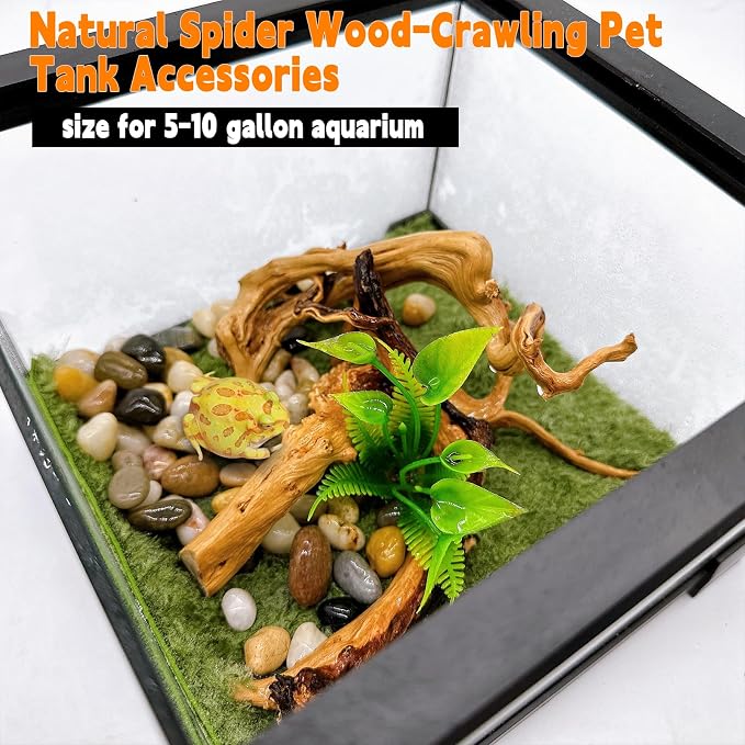 Hamiledyi 6-8in Aquarium Driftwood 3PCS Reptile Spider Wood Assorted Branches - Image 4