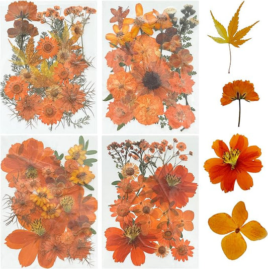 Woohome 4 Pack Dried Flowers for Resin Molds by Woohome