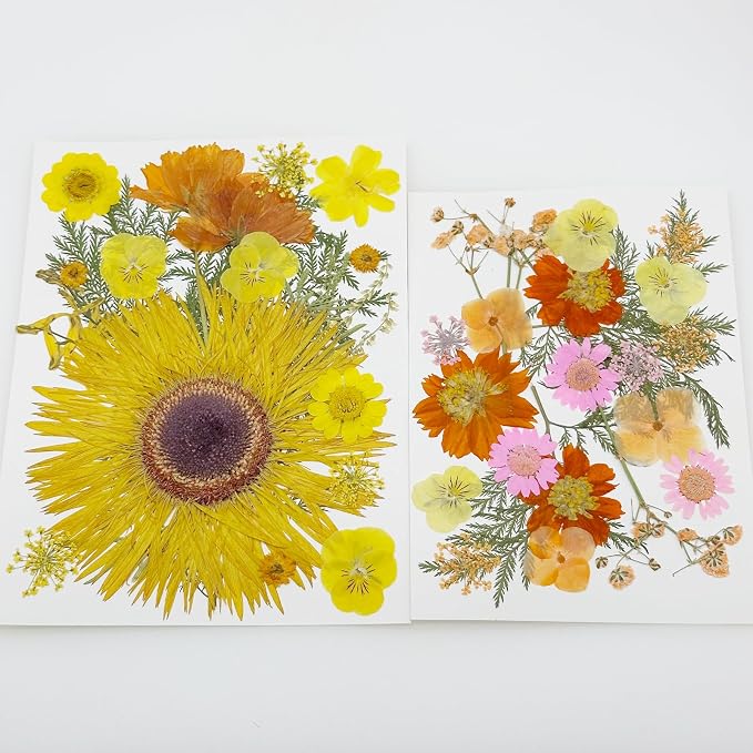 Woohome 44 PCS Orange Real Pressed Flowers, Dried Pressed Flowers - Image 8