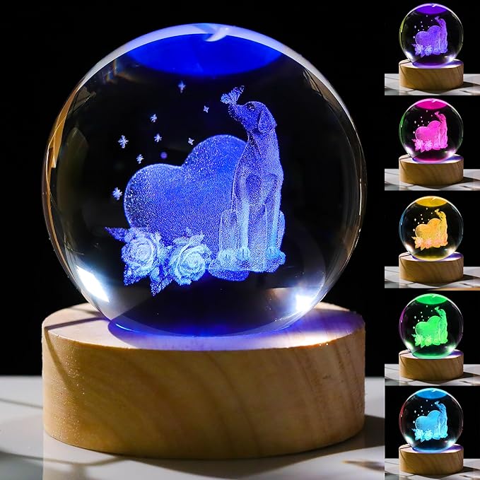 3D Labrador Gifts for Women by Unknown