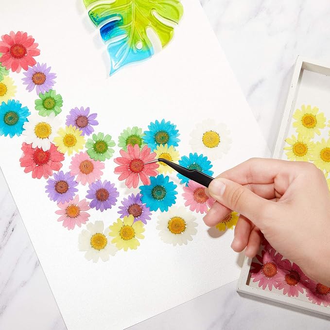 Nuanchu 84 Pcs Pressed Flowers Real Dried Daisies Colorful Pressed Daisy - Image 6