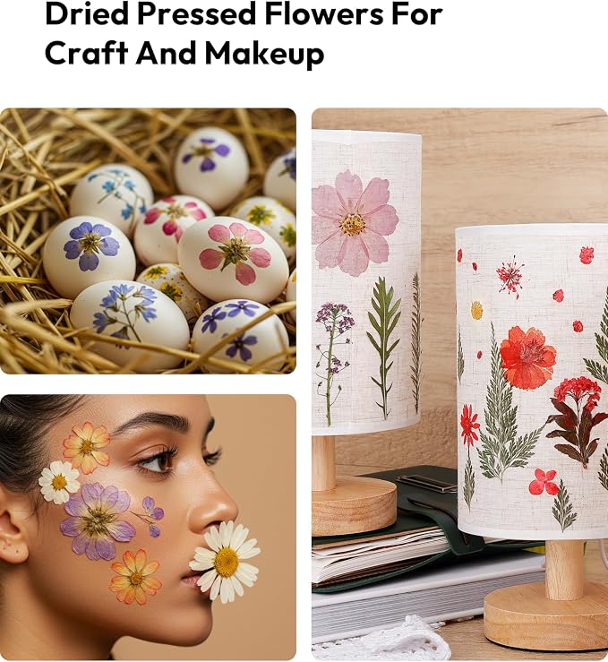 Dried Flowers, Resiners 100Pcs Pressed Flowers - Image 9