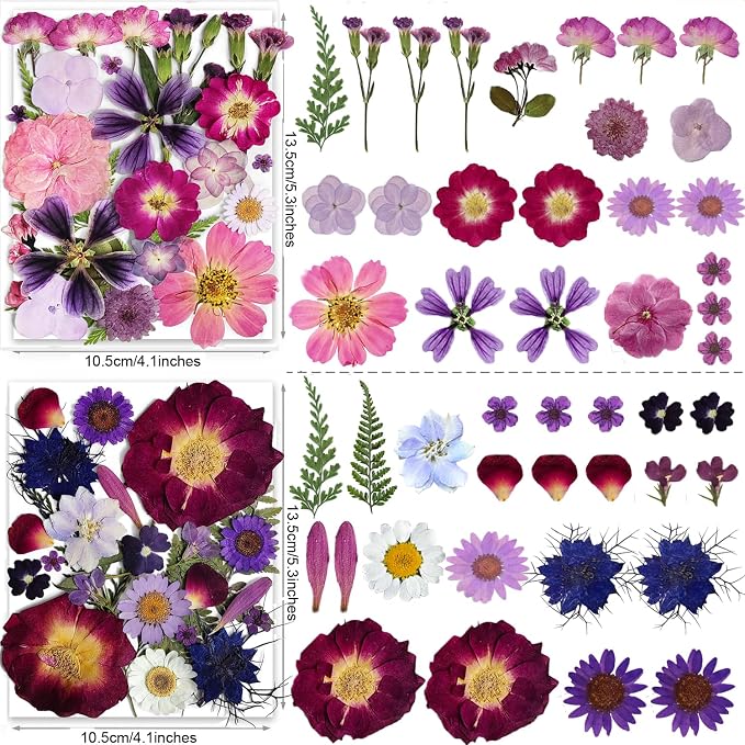 150PCS Purple Dried Pressed Flowers - Image 4