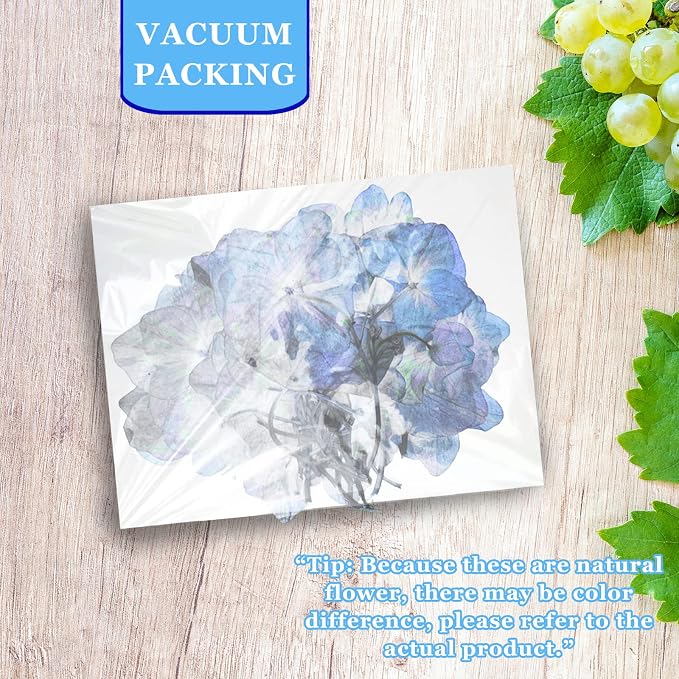 HEISENLIN Blue Dried Pressed Flowers Hydrangea - Image 7