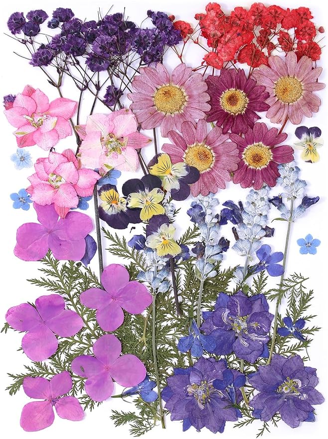 11 Types 46pcs Real Dried Pressed Flowers Leaf Plant Herbarium by AHTONG