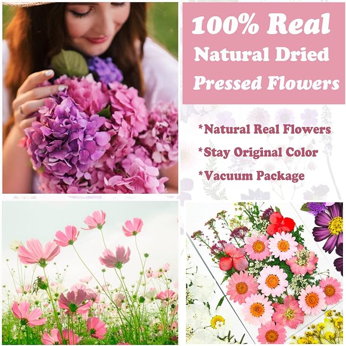83 Pcs Pink Real Dried Pressed Flowers Natural Leave Petals - Image 2