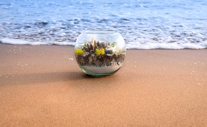 SuperMoss Beach Terrarium DIY Kit – Create Stunning Nature-Inspired Mini - Image 4