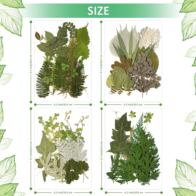 Timtin 84 Pieces Dried Pressed Leaves Flowers - Image 5
