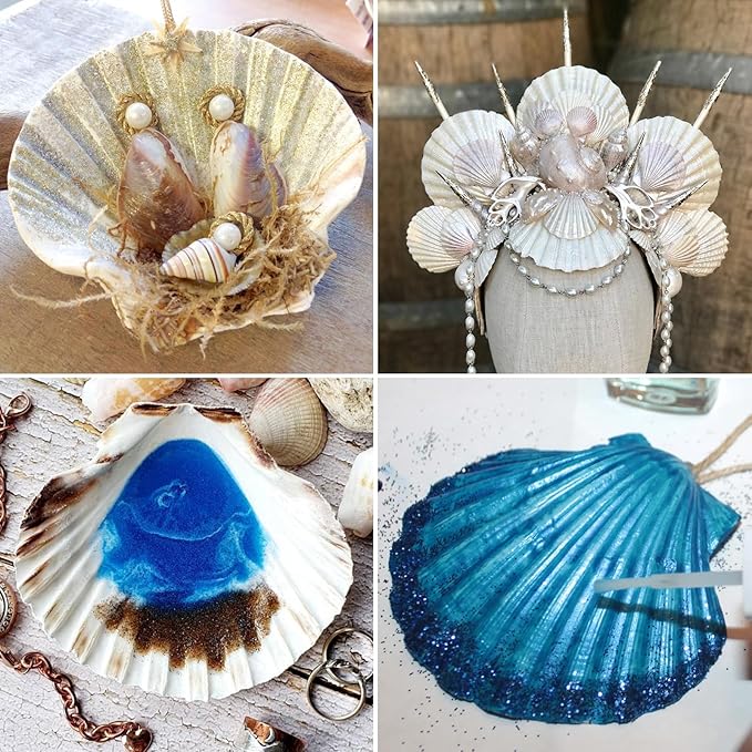 QEQEKAKA 8PCS Sea Shells for Craft 3‘’-4'’ Natural White Hawaiian Scallop - Image 7