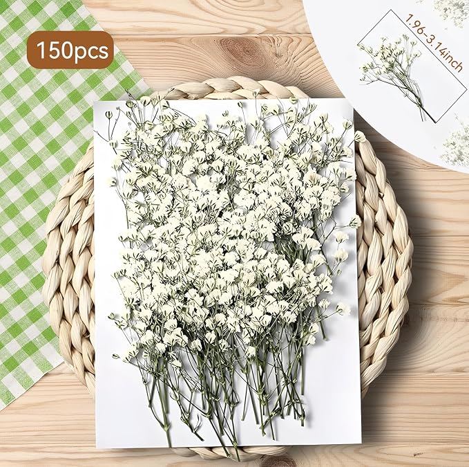 150Pcs Mini Dried Pressed White Baby's Breath Flowers 1-10cm Bulk - Image 4