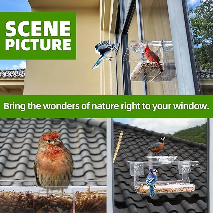 WENMIXER Window Bird Feeder - Image 6