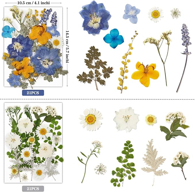 85Pcs Pressed Flowers for Crafts, Colorful Dried Flowers for Crafts Real - Image 4
