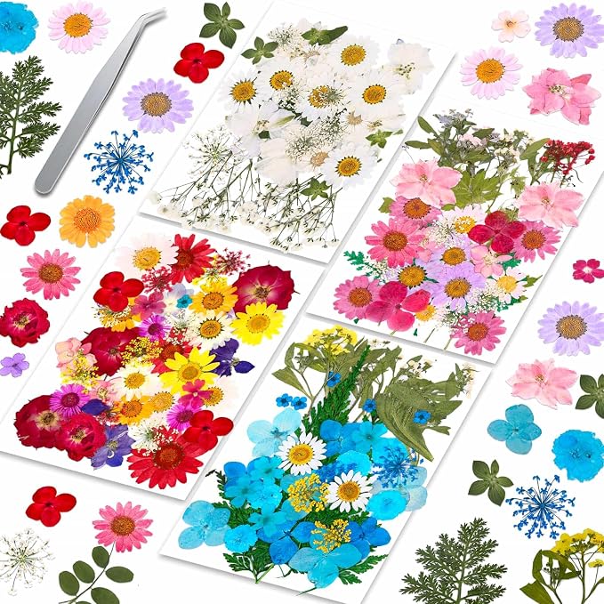 153 Pcs Dried Pressed Flowers Leaves by Evatage