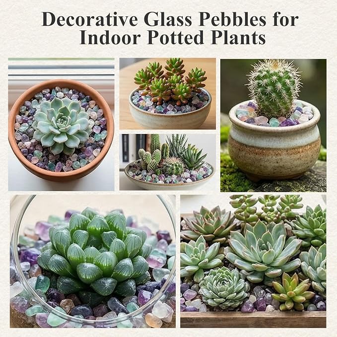 JOHOUSE Quartz Crystals, Crushed Chips Tumbled Polished Stones, Succulent - Image 5