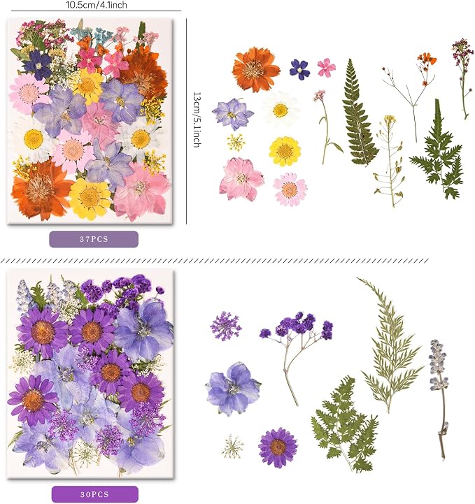330PCS Natural Color Pressed Dried Flowers - Image 4