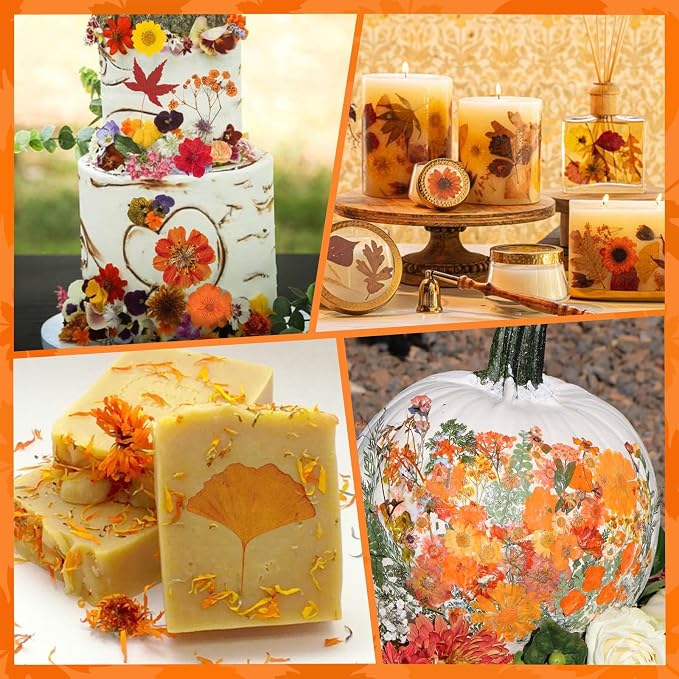 78 Pcs Fall Dried Pressed Flowers - Image 4