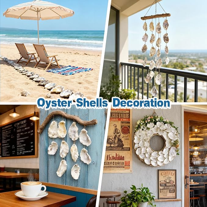 30Pcs Oyster Shells for Crafts 2"- 3" Natural Oyster Shells for DIY Crafting - Image 4