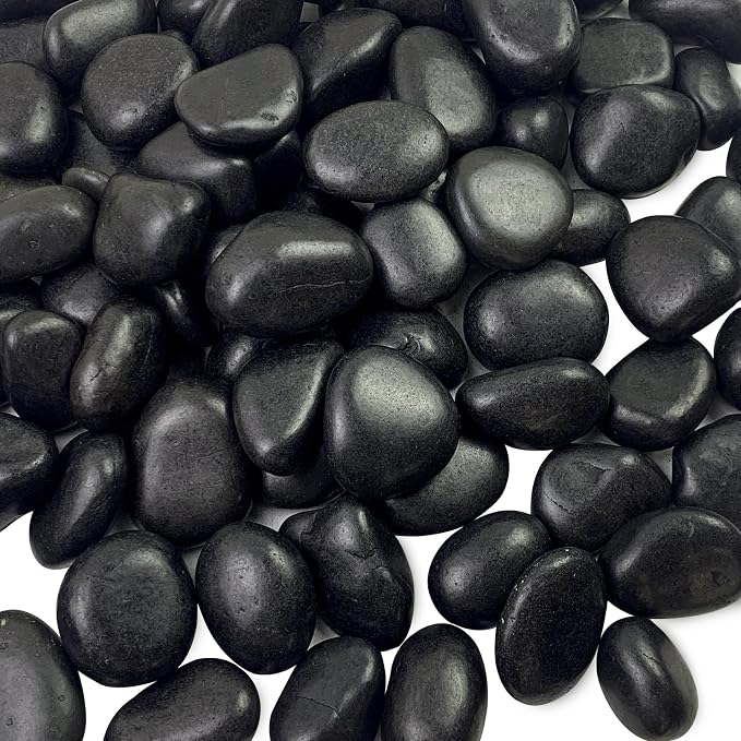 FANTIAN 5 lbs Black Pebbles for Indoor Plants, 1-2 Inch Decorative Black River by FANTIAN-GardeningMakesLifeBetter