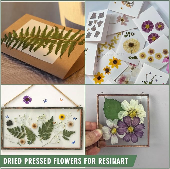 188 Pcs Dried Pressed Flowers for Resin Crafts, Real Natural Pressed Flowers - Image 4