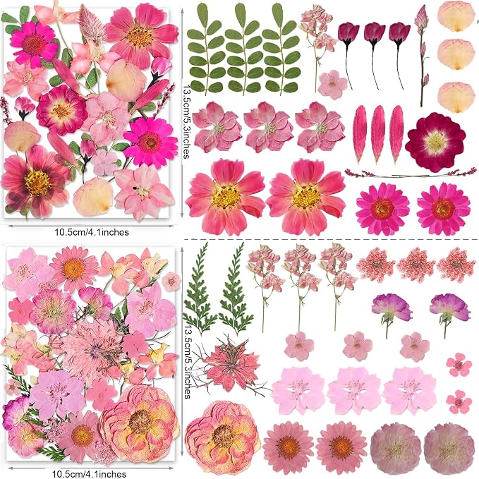 148PCS Pink Dried Pressed Flowers - Image 4