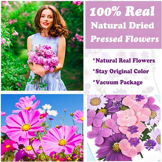 92 Pcs Purple Dried Pressed Flowers Real Natural Leave Petals - Image 2