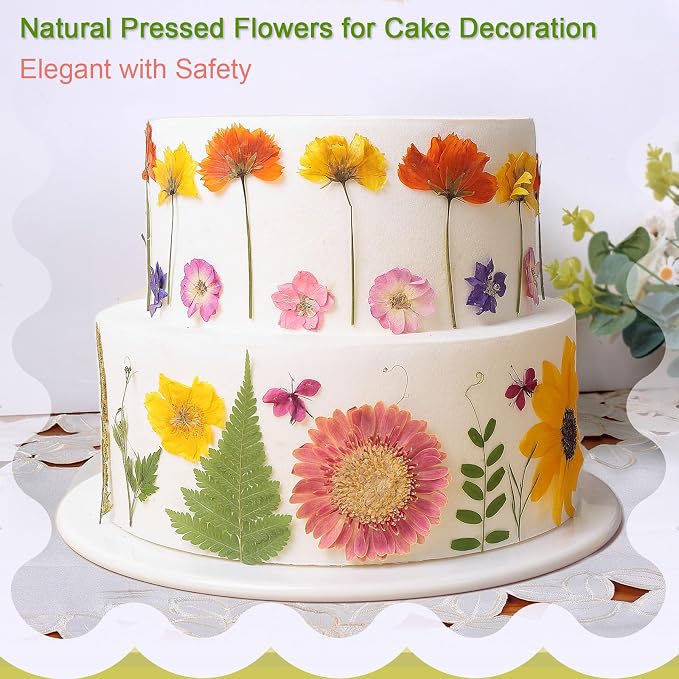 12“ Large Bulk Summer Dried Pressed Flowers - Image 6