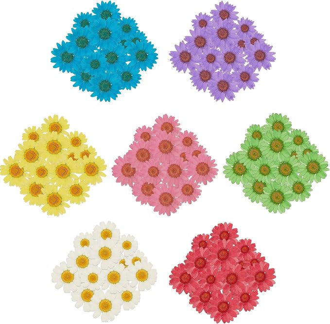 Nuanchu 84 Pcs Pressed Flowers Real Dried Daisies Colorful Pressed Daisy by Nuanchu