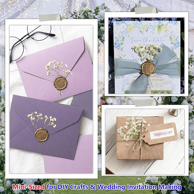 112Pcs Babys Breath Mini Dried Pressed Flowers - Image 5