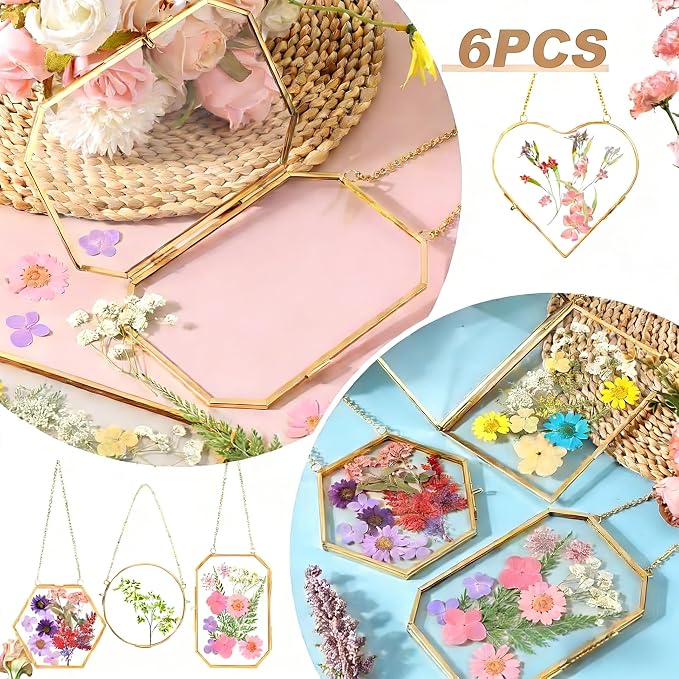 Pressed Flower Frames, Wall Hanging Double Glass Picture Frames - Image 5