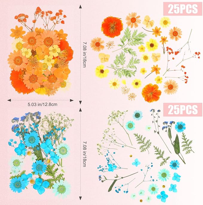 100 Pieces Dried Pressed Flowers - Image 7