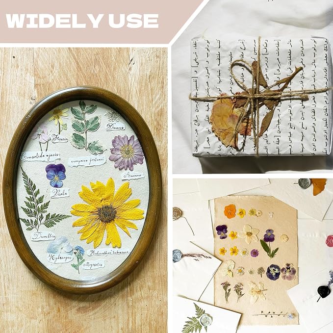 Dried Flowers for Resin | Vacuum Packed DIY Pressed Flowers for Epoxy, Nail - Image 5