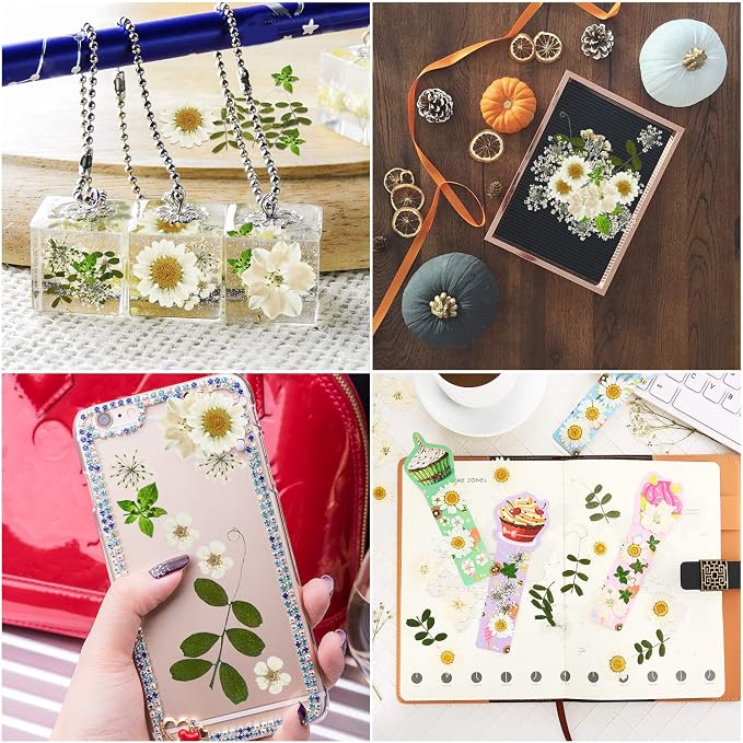 Nuanchu 81 Pieces Pressed Flowers Bulk White Dried Flowers - Image 4