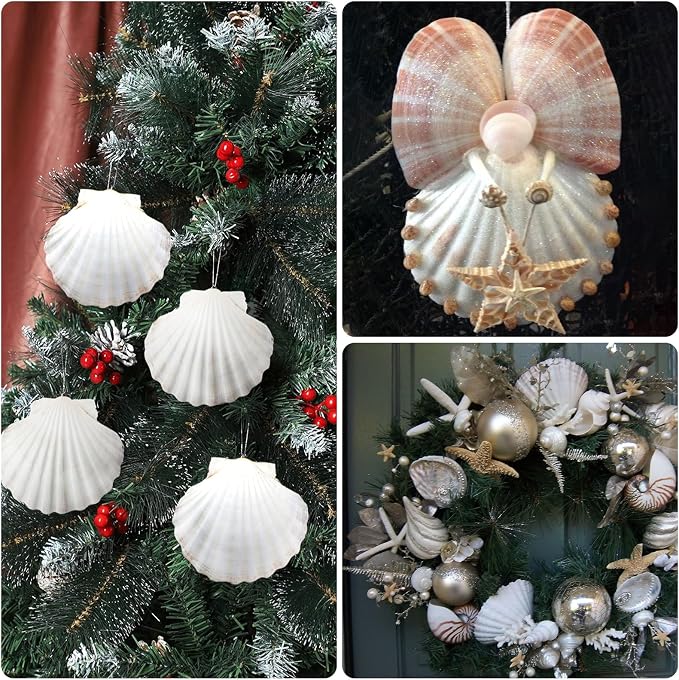10PCS Large Natural Scallop Shells, DIY Painting, Baking and Beach Wedding - Image 6