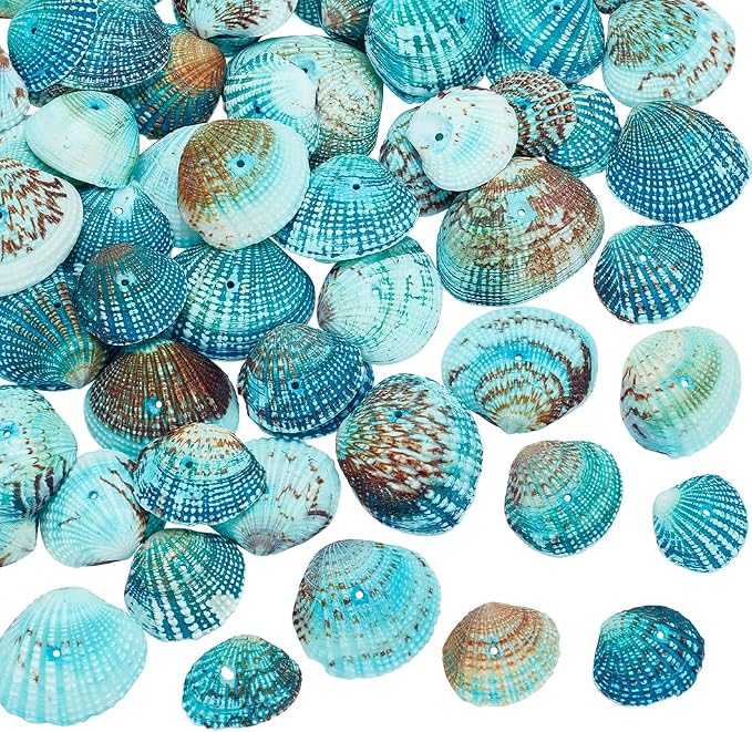 PH PandaHall Tiny Scallop Sea Shells, 35-40Pcs Natural Seashell | 1mm Hole by PHPandaHall